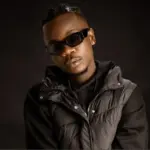 Vii Sugar Boy