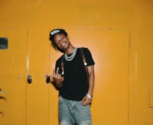 Yucca – Beautiful things