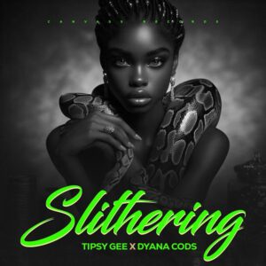 Tipsy Gee Ft Dyana Cods – Slithering