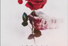 Ibraah – Mashiko