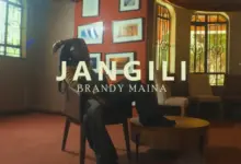 Brandy Maina – Jangili