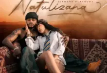 Diamond Platnumz – Natulizana