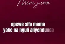 Echo 254 – Meri Jaan