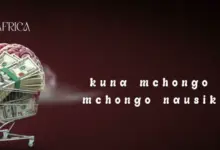 Fabi Africa – Mchongo