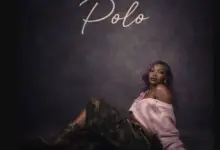 Guchi – Polo