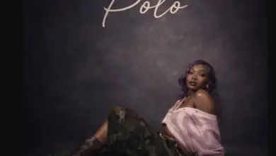 Guchi – Polo