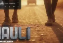 Mesen Selekta – Nauli