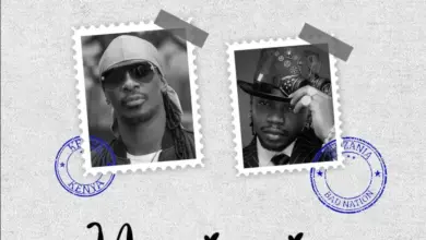  Nameless X Marioo – Nasinzia II