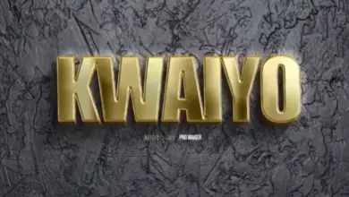 Pacha brand – Kwaiyo