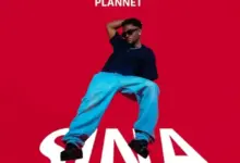 Plannet – Sina