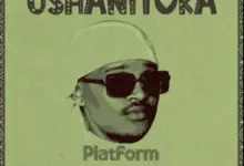 Platform – Ushanitoka