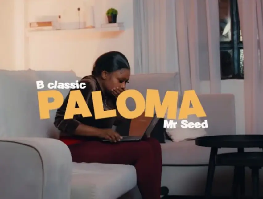 B Classic X Mr Seed – Paloma