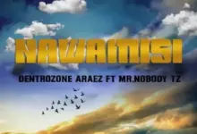 Dentrozone Araez ft Mr Nobody Tz – Nawamisi