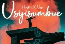 Hanstone X Nippi – Usijisumbue