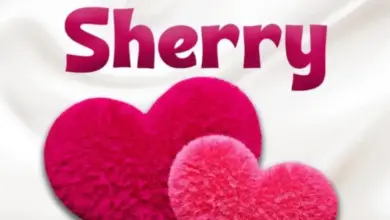 Beka Flavour ft Pogo Melody & Boy David – Sherry