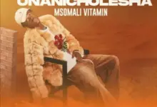 Don Breezy ft Msomali Vitamin – Unanichore