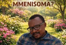 M.Sady – Mmenisoma