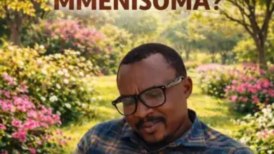 M.Sady – Mmenisoma