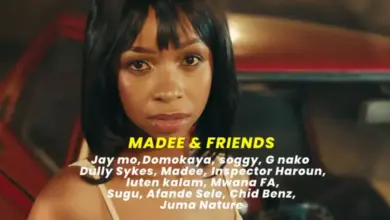 Madee ft Friends – Danger