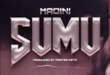 Madini – Sumu