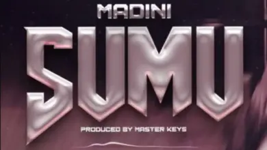 Madini – Sumu
