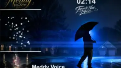 Meddy Voice – Alisema