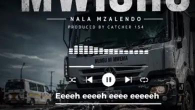 Nala Mzalendo – Mwisho