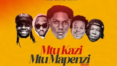 Raydiance tz x Msomali x Bando Mc x Lody Music x Dj Facebook – Mtu Kazi Mtu Mapenzi Remix