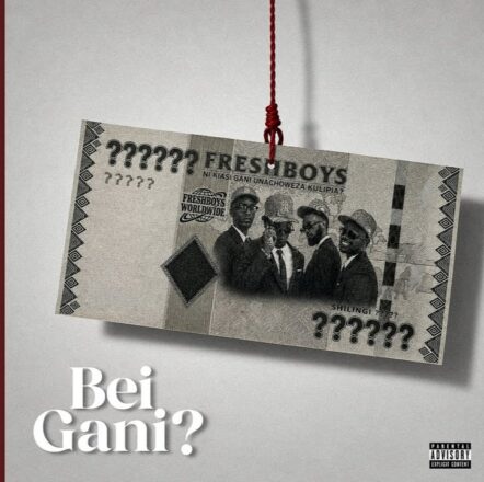 FreshBoys – Bei Gani