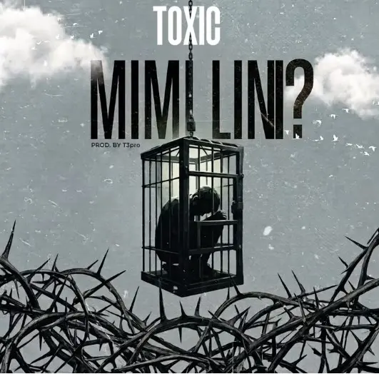 Mimi Lini